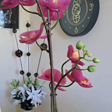 Апартаменты Casa Luca *