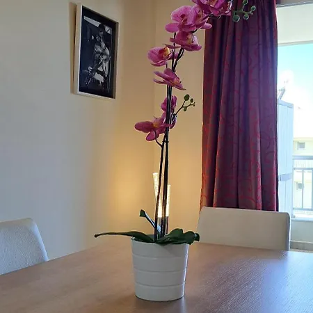 Casa Luca アパート *