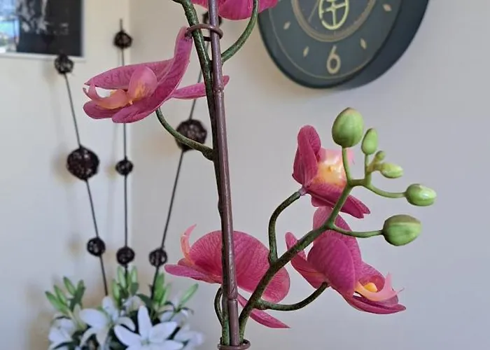 דירה Casa Luca *